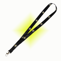 
              LANYARD
            